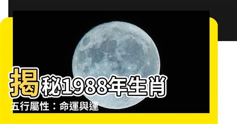 1988 龍年|生肖龍: 性格，愛情，2024運勢，生肖1988，2000，2012